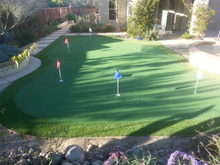 Backyard putting green with flags