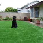 Synthetic Lawn Pet Turf National City, Top Rated Artificial Grass Installation for Dogs