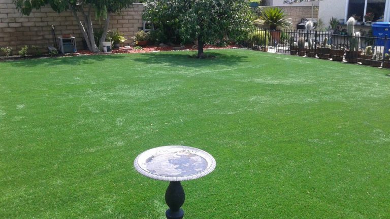 Open artificial grass lawn with a birdbath