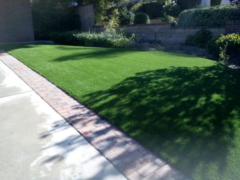 Artificial grass strip along a front walkway