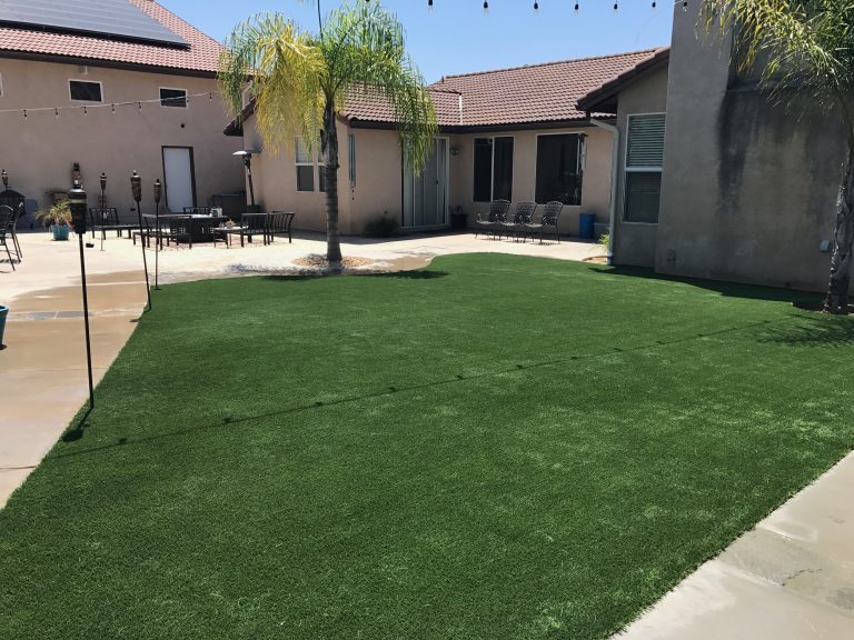 Front yard artificial lawn with palm trees