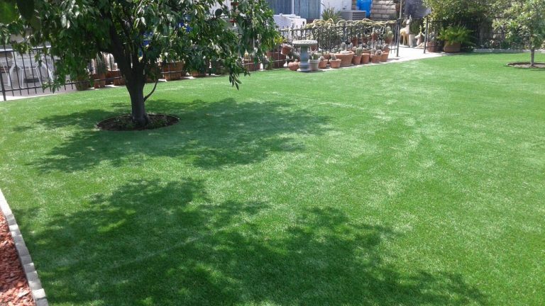 Large open synthetic lawn under shade trees