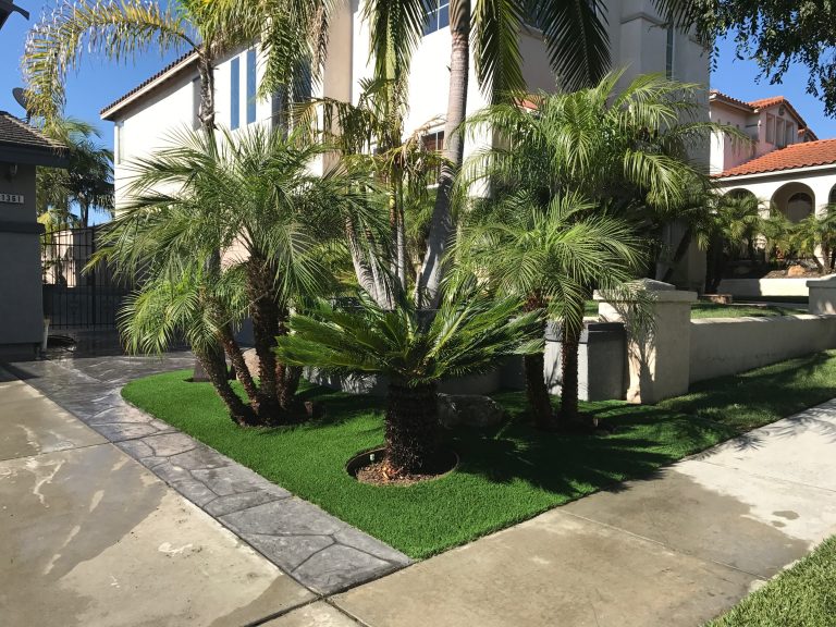 Front yard with artificial grass and tall palms