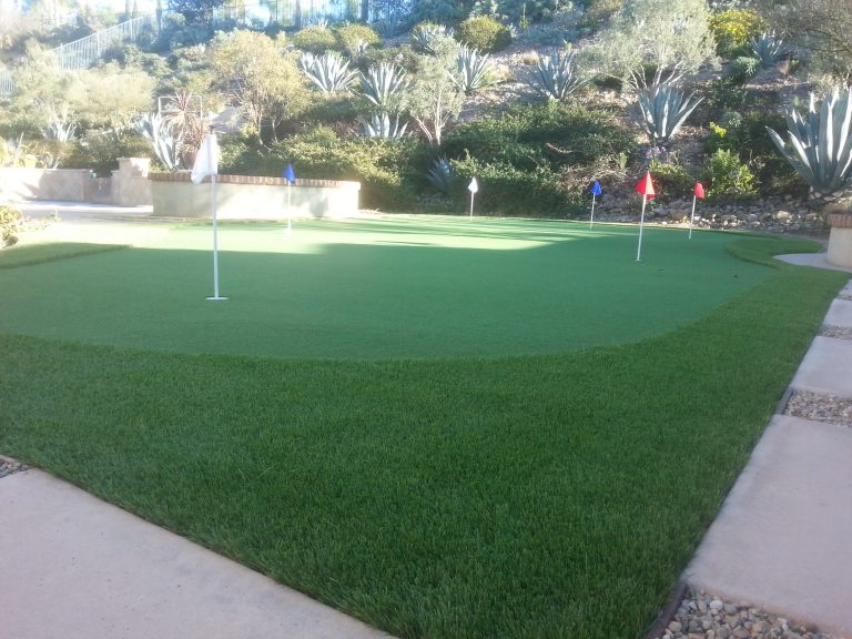 Large synthetic putting green beside a driveway