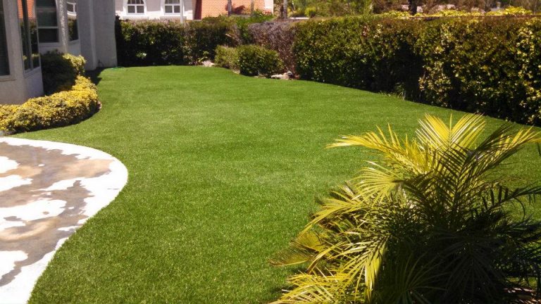 Backyard artificial lawn with tropical plants