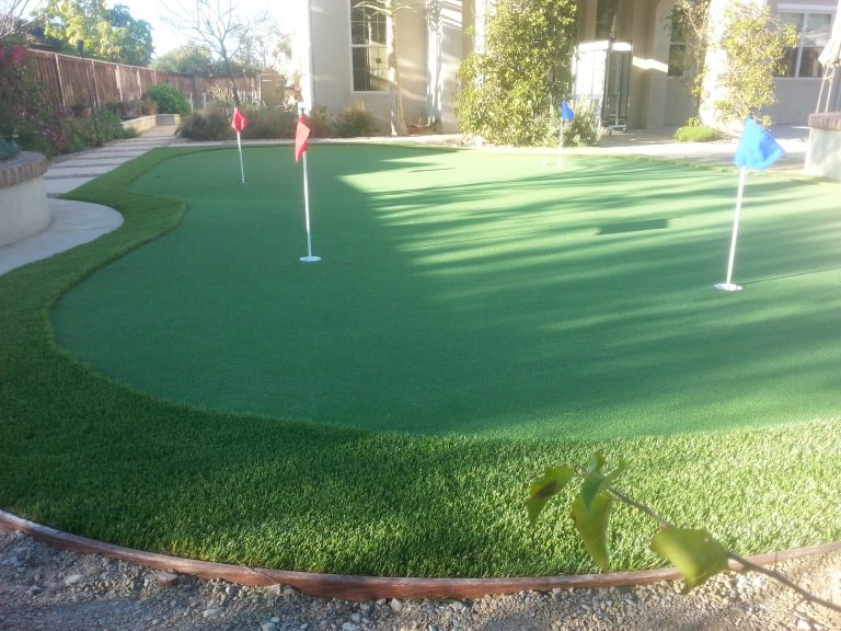 Putting green with flags in a backyard