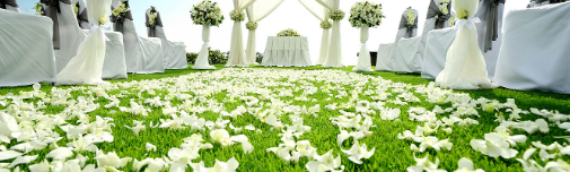 ▷5 Tips To Use Artificial Grass In Event Spaces National City