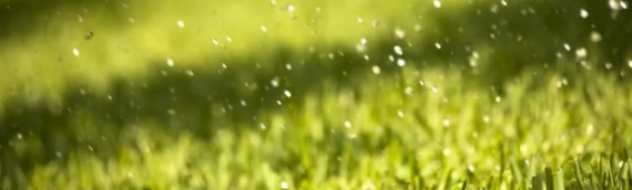 ▷How To Properly Manage Artificial Grass In Rainy Season National City?