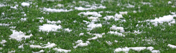 ▷7 Tips To Care About Your Synthetic Grass In Winter National City