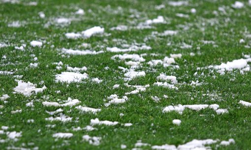 7 Tips To Care About Your Synthetic Grass In Winter National City
