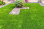 How To Get Rid Of Bad Odor Smelling From Your Artificial Grass Garden In National City?