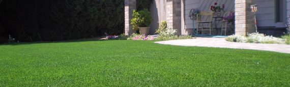 ▷5 Reasons That Artificial Grass Is Good Replacement For Traditional Lawn In National City