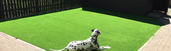 ▷5 Reasons That Artificial Grass Is Safe For Kids And Pets On A Slope In National City