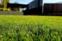 5 Benefits Of Artificial Grass For Healthcare Facilities In National City