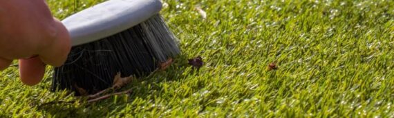 ▷5 Tips To Get Rid Of Weeds Out Of Artificial Grass In National City
